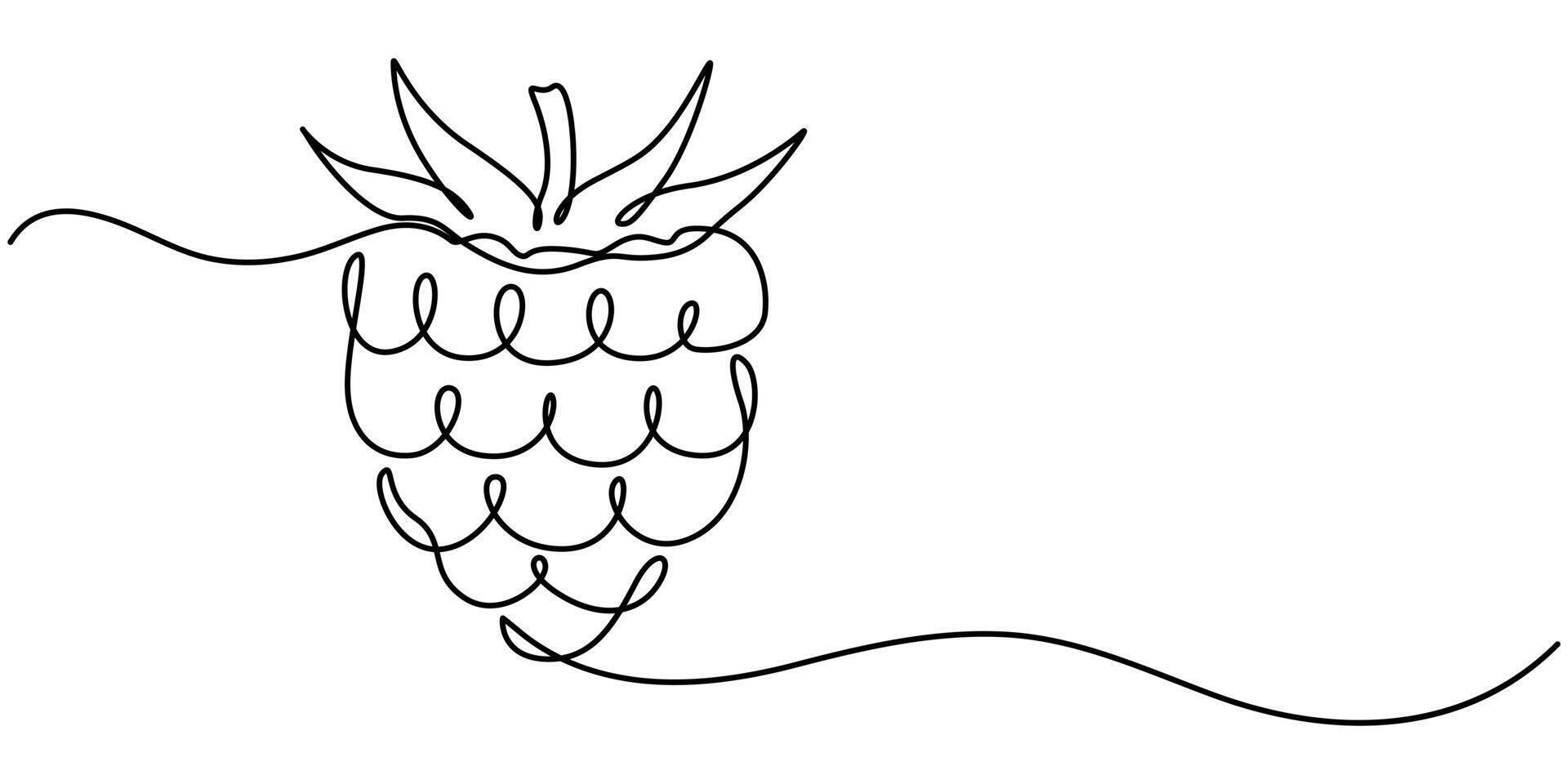 Raspberry fruit in continuous one line art drawing style minimalist black linear sketch on white background vector