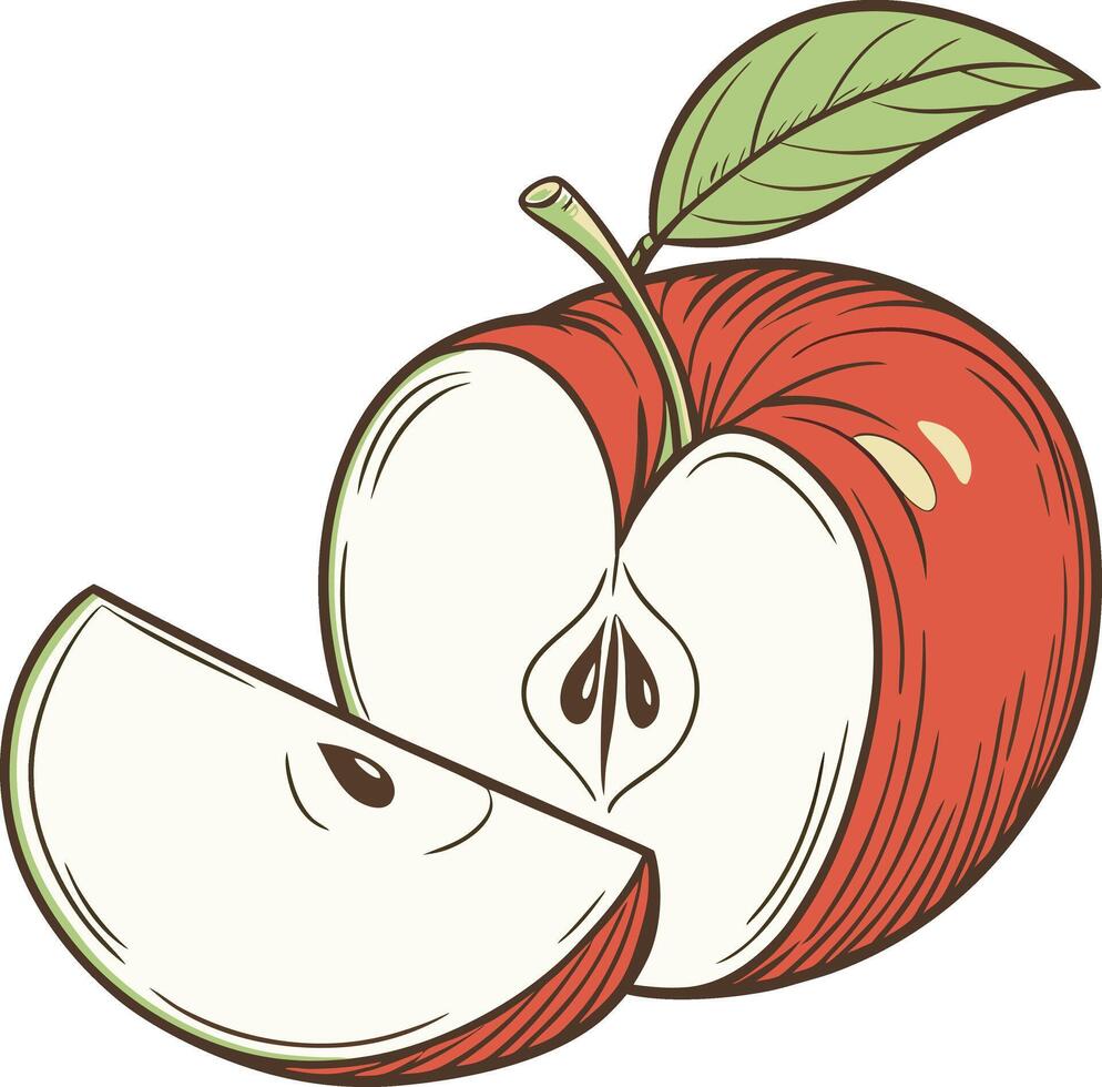 Illustration of a Red Apple with a Slice and Green Leaf vector