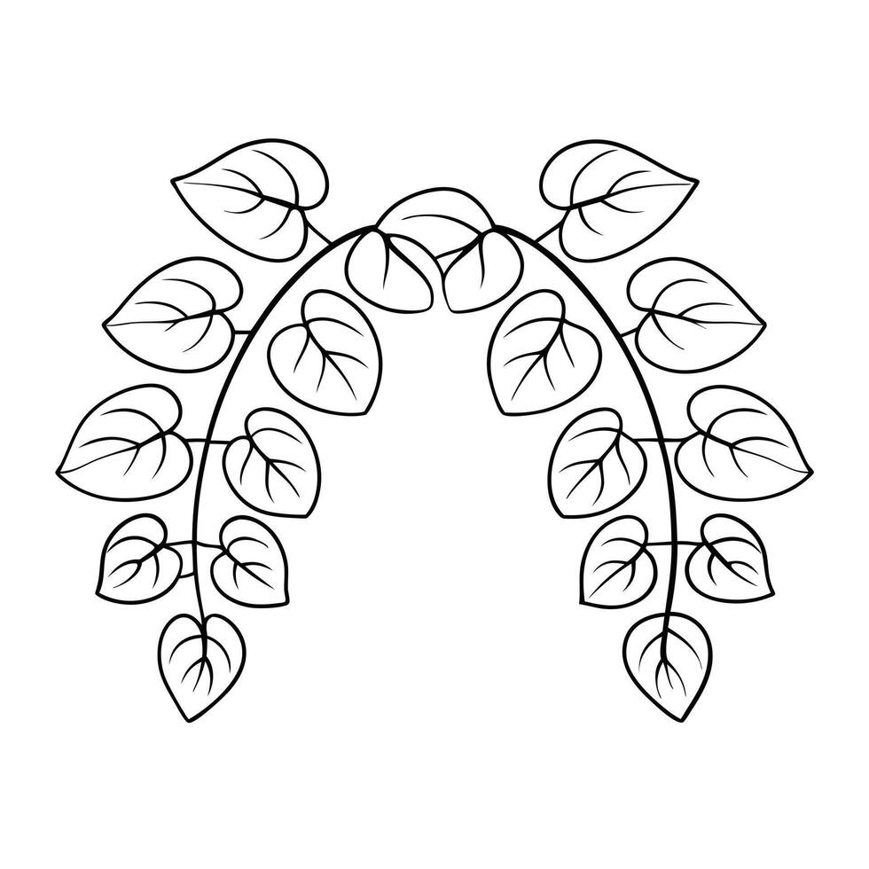 Line drawing botanical minimalist artwork. vector