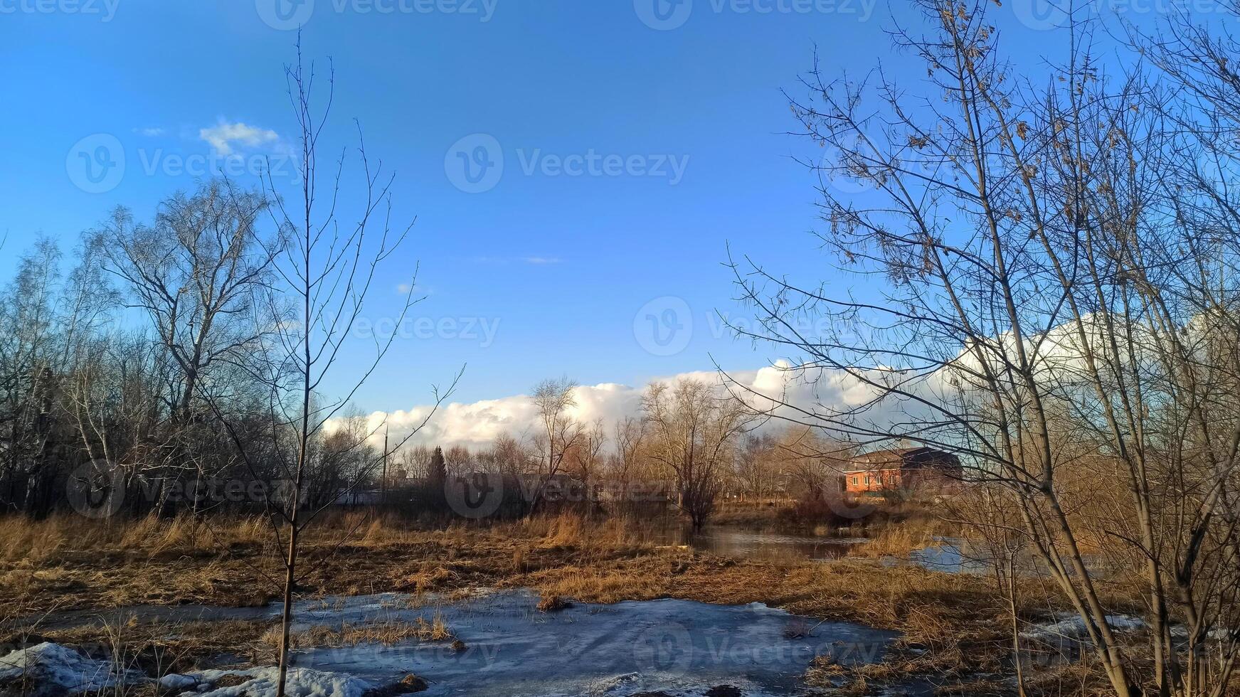A Serene and Beautiful Winter Landscape Featuring a Clear Blue Sky and Frosted Trees. Early spring or late autumn. photo