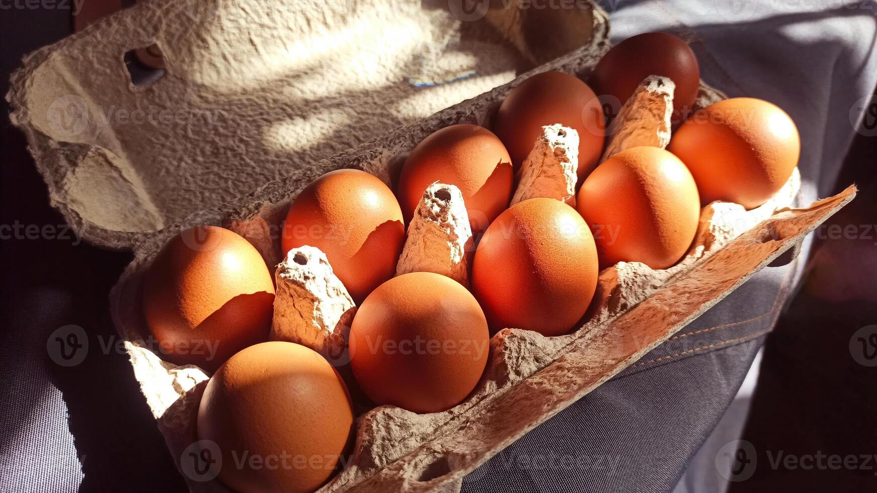 A carton filled with fresh, brown eggs, beautifully lit to highlight their natural color and unique texture. Small business. Eco product, household. Home cooking. photo