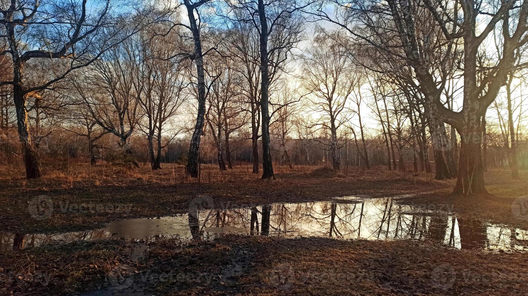 A serene forest scene captures the tranquility of early spring or late autumn, with vibrant foliage mirrored in the still waters, evoking a sense of peace and natural beauty. photo
