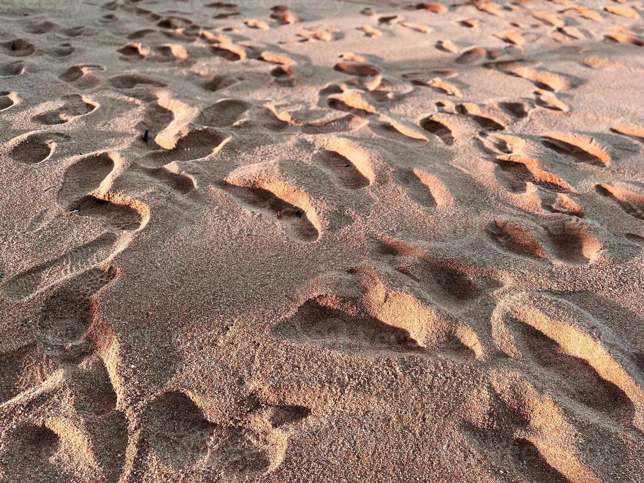 leaf on the beach, Close-up of footprints on a sandy beach, illuminated by warm sunlight. The textured surface of the sand creates depth, evoking a sense of travel, solitude, coastal exploration photo