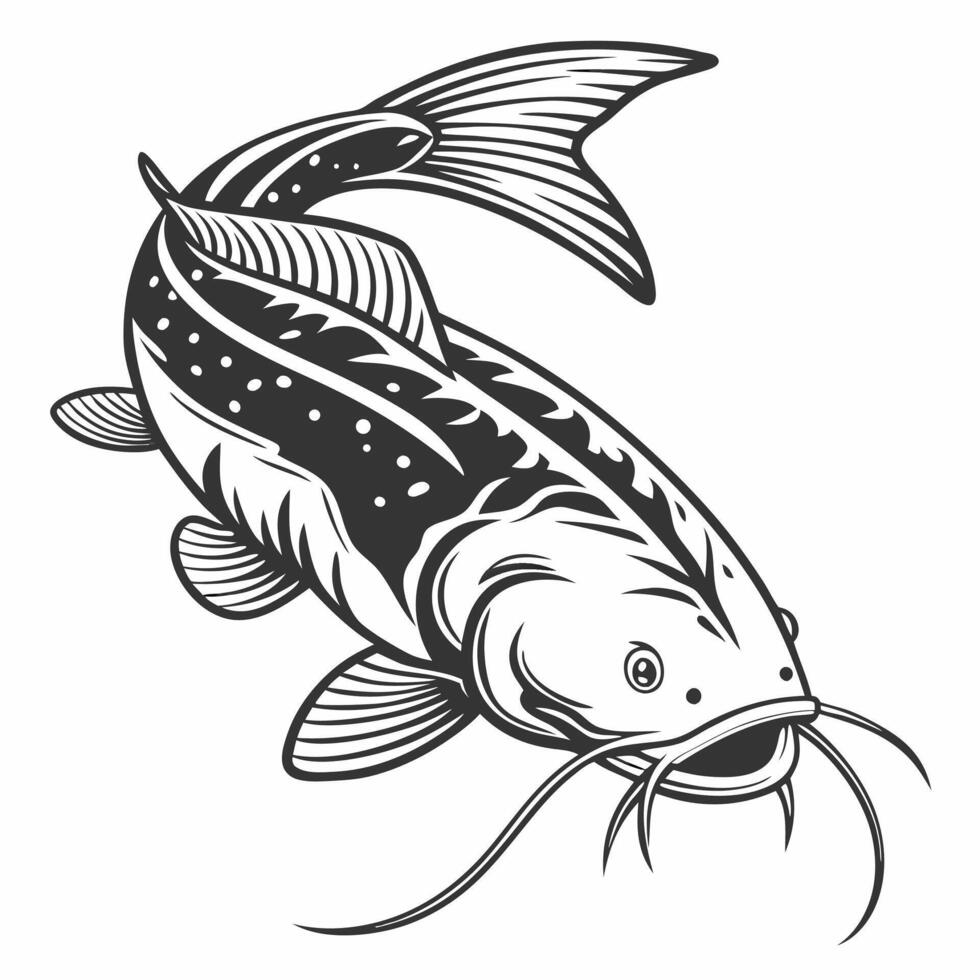 catfish fish illustration. vector
