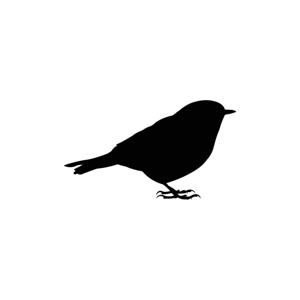 Black robin bird silhouette vector
