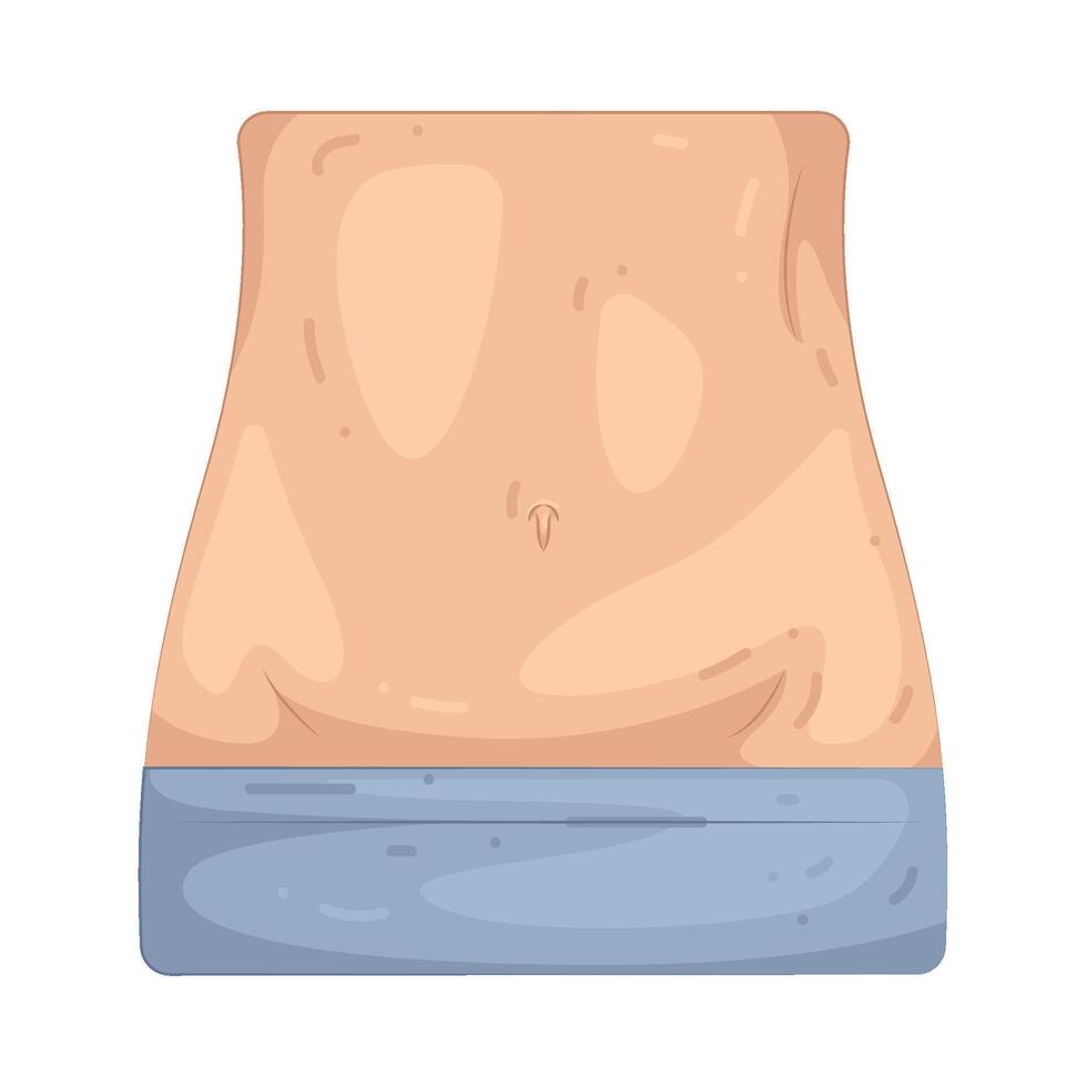 Illustration of Belly vector