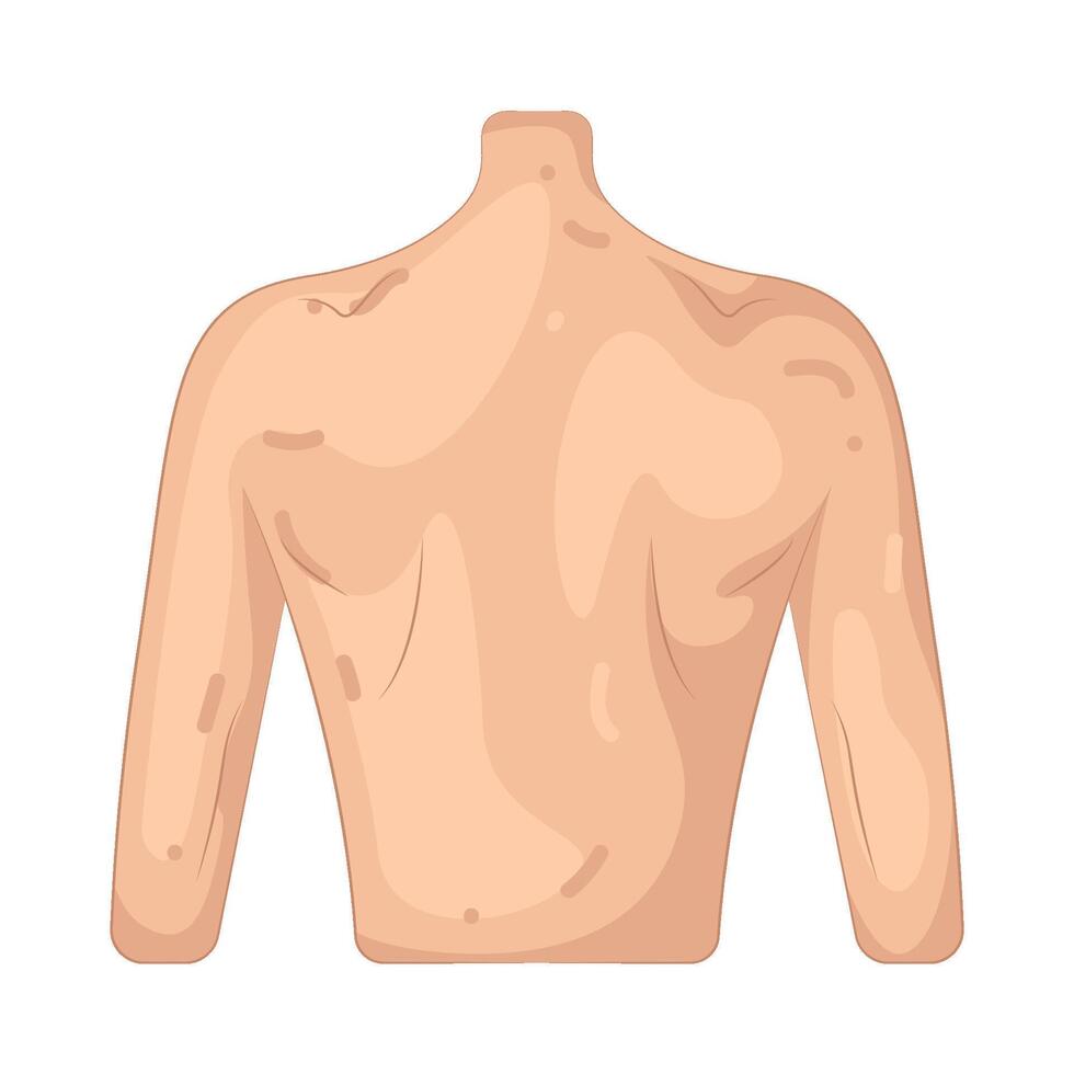 Illustration of Back vector