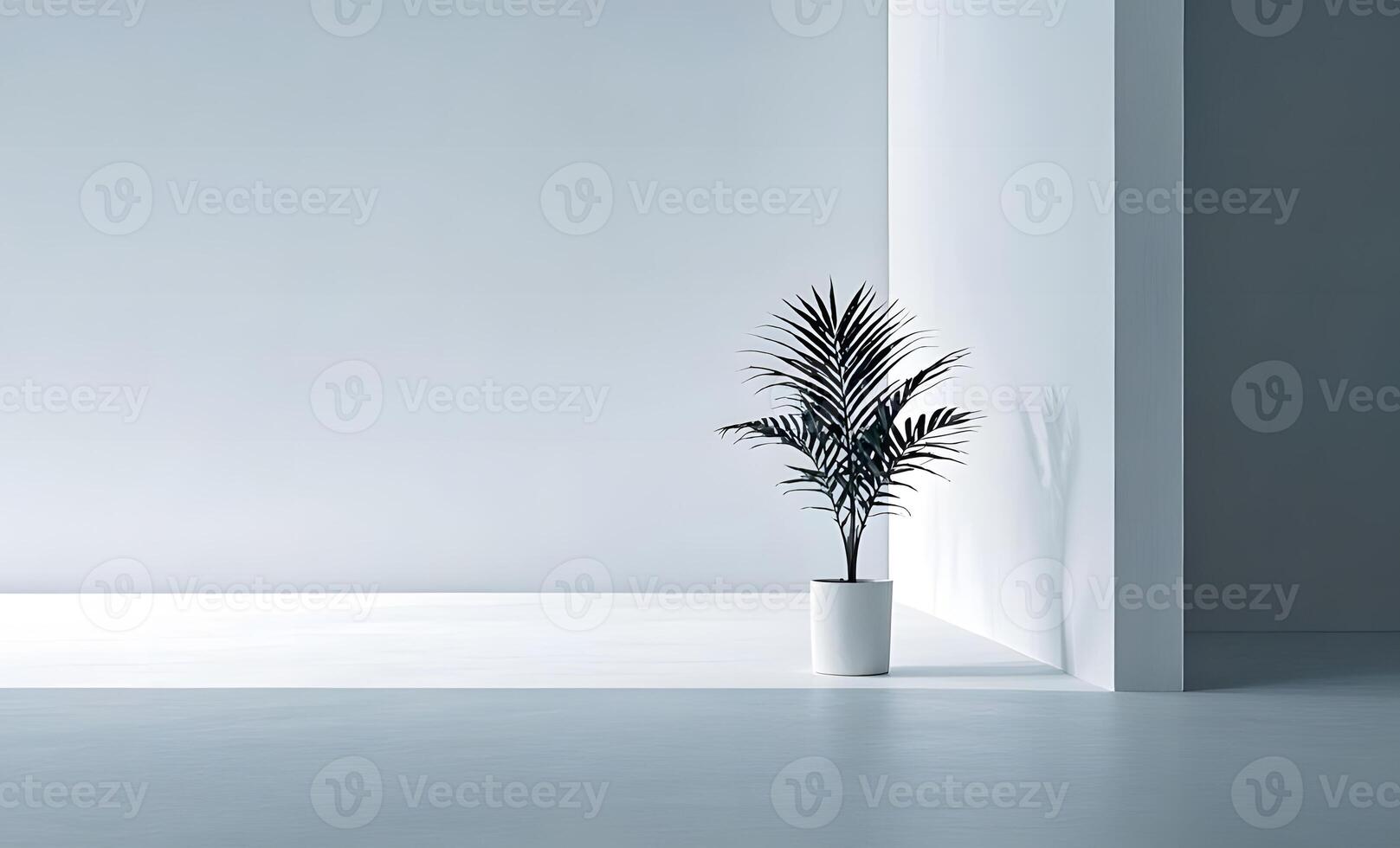 A plant in a white vase in an empty room photo