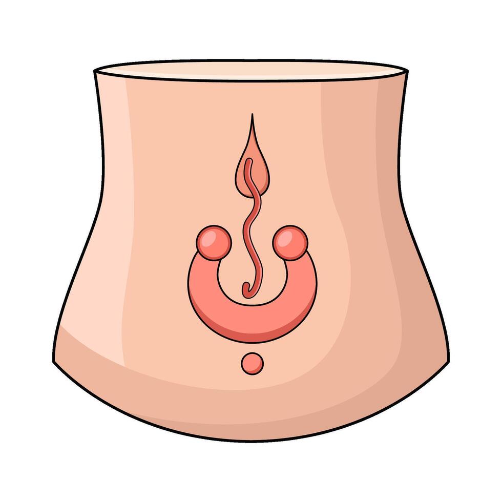 illustration of Navel vector