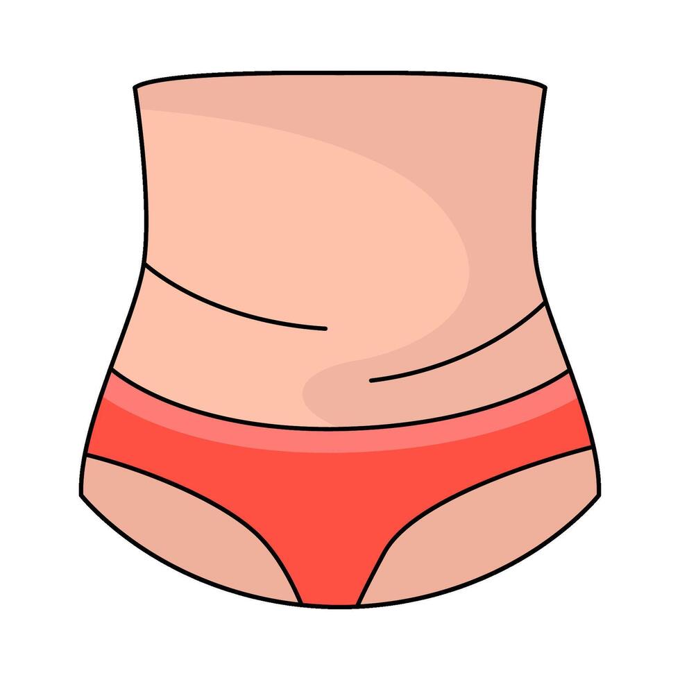 illustration of Human Belly vector