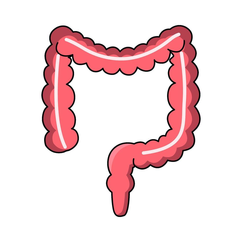 illustration of Intestines vector