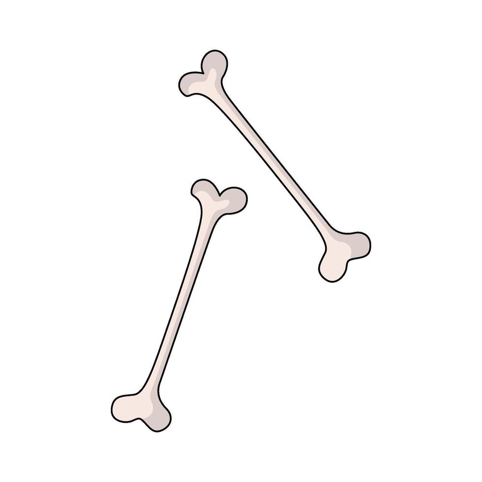 illustration of Bones vector