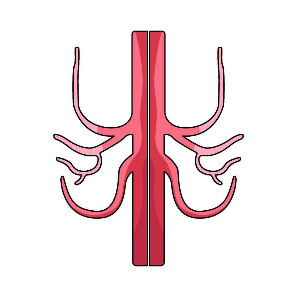 illustration of Arteries vector