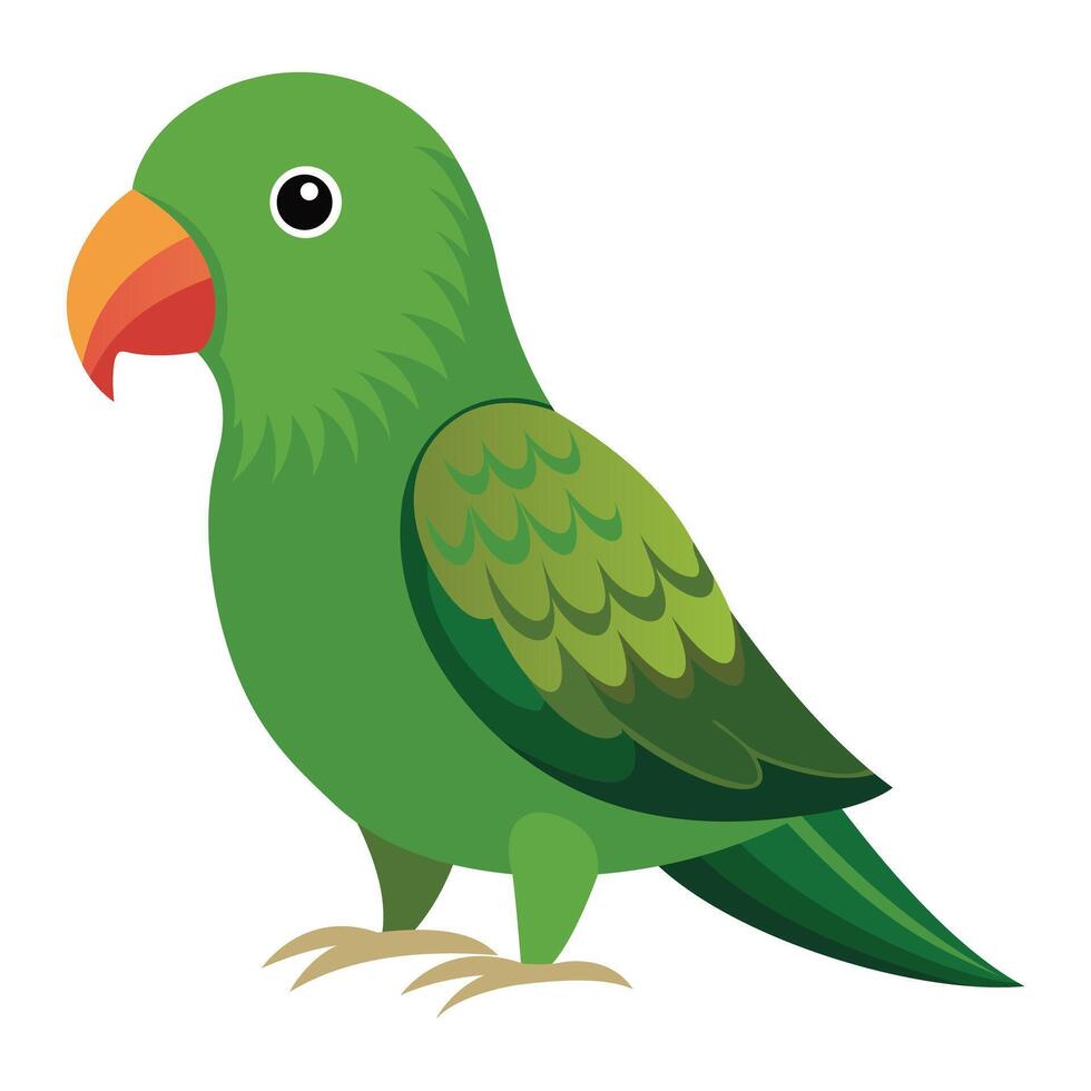 Rare Kakapo Parrot Isolated on White vector