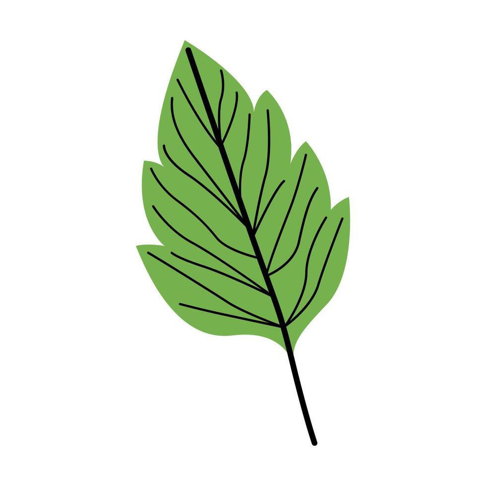 Green Leaf Nature Illustration vector