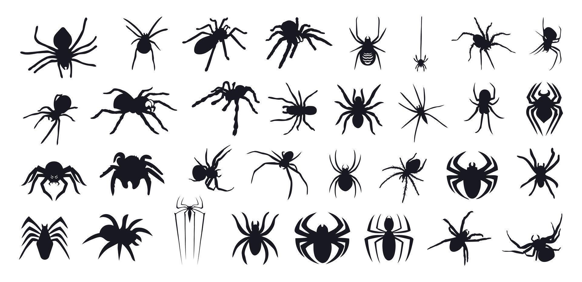Set of spider silhouette isolated on a white background vector