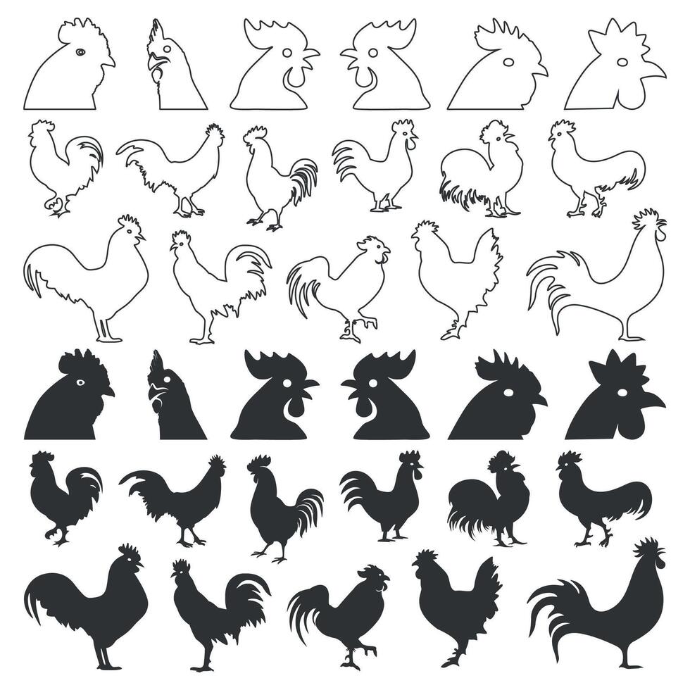 Set of chicken or rooster silhouette and line art icons design illustration. vector