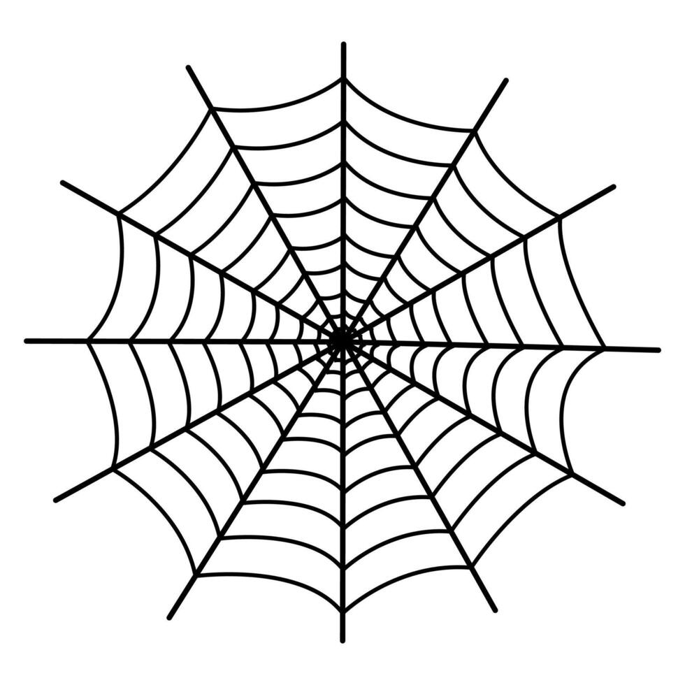 Spider web isolated on white background. vector