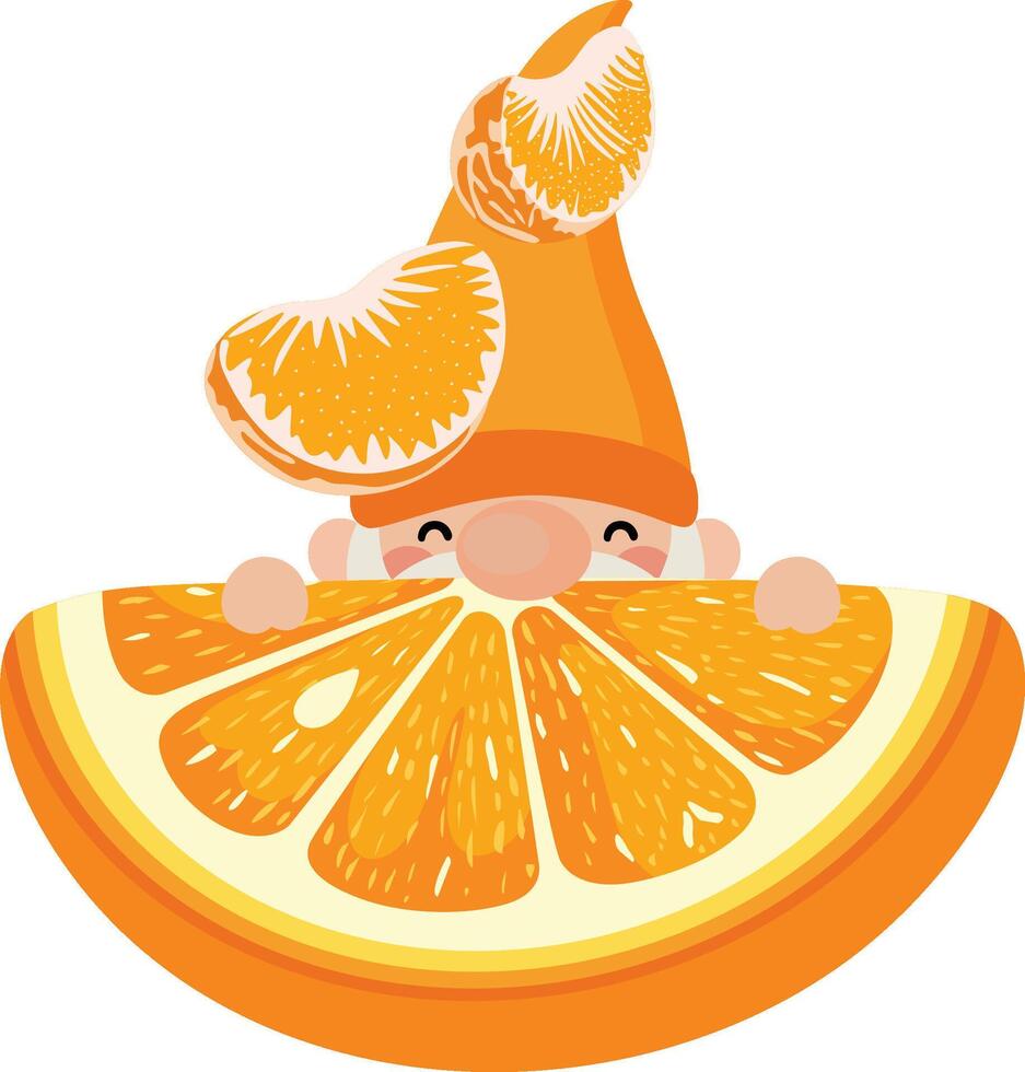 Cute gnome with orange slice vector