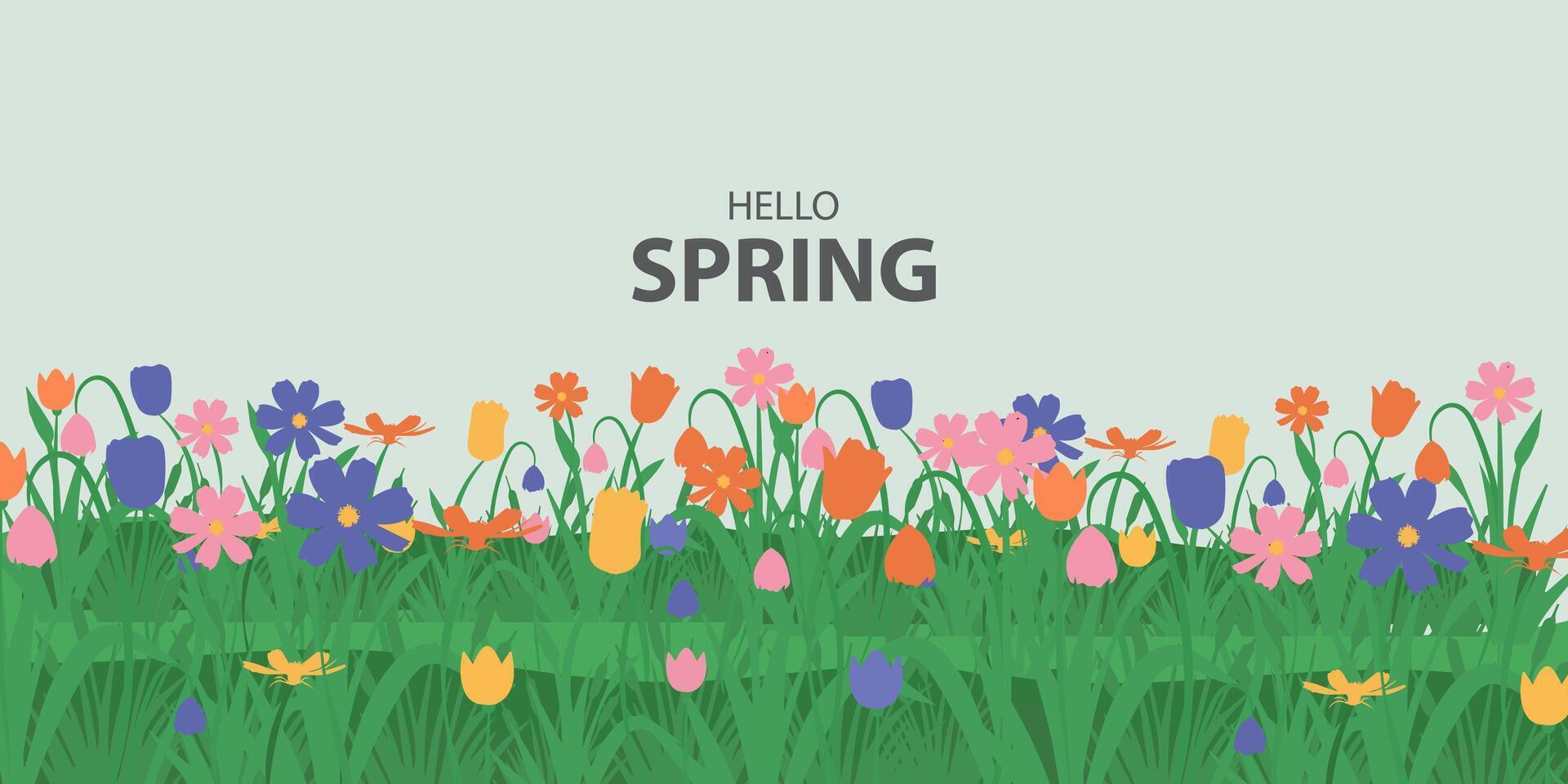 spring background with flowers and grass vector