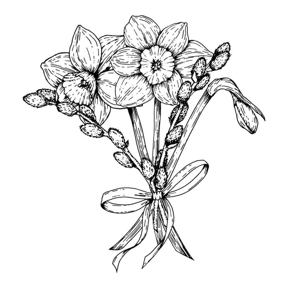illustration of a spring bouquet with blooming daffodils and willow branches tied with a ribbon. Hand drawn in black and white ink line art. Perfect for Easter, 8 March and seasonal vector