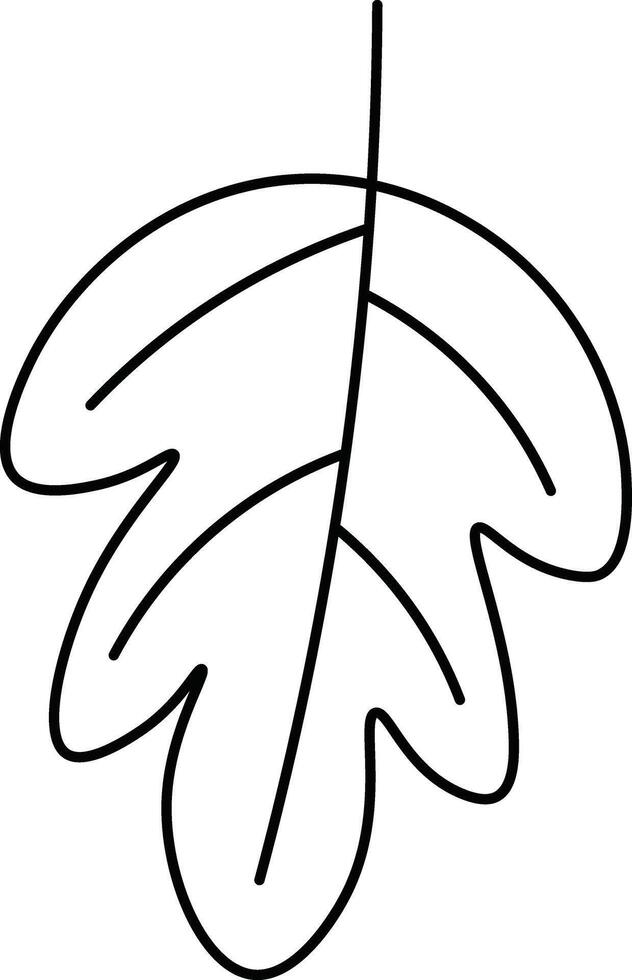 Stylized Leaf Illustration vector