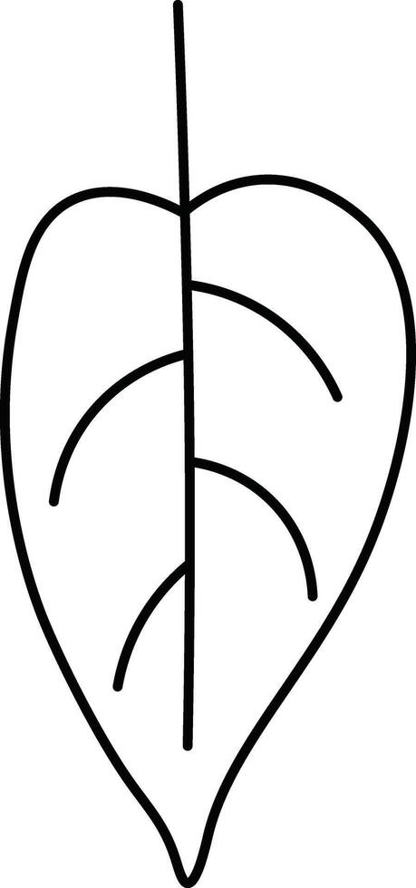 Outline Illustration of a Leaf vector
