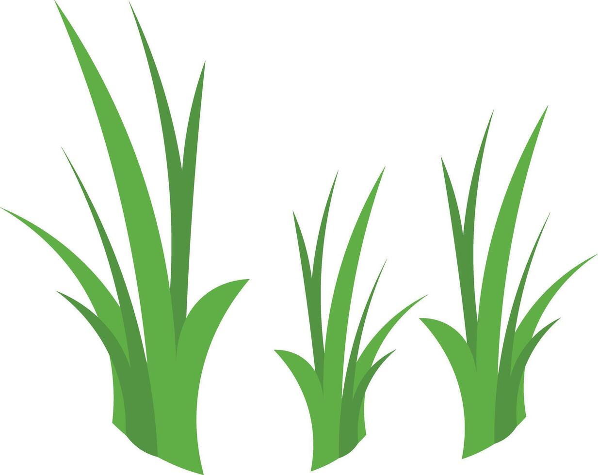Illustration of Grass vector