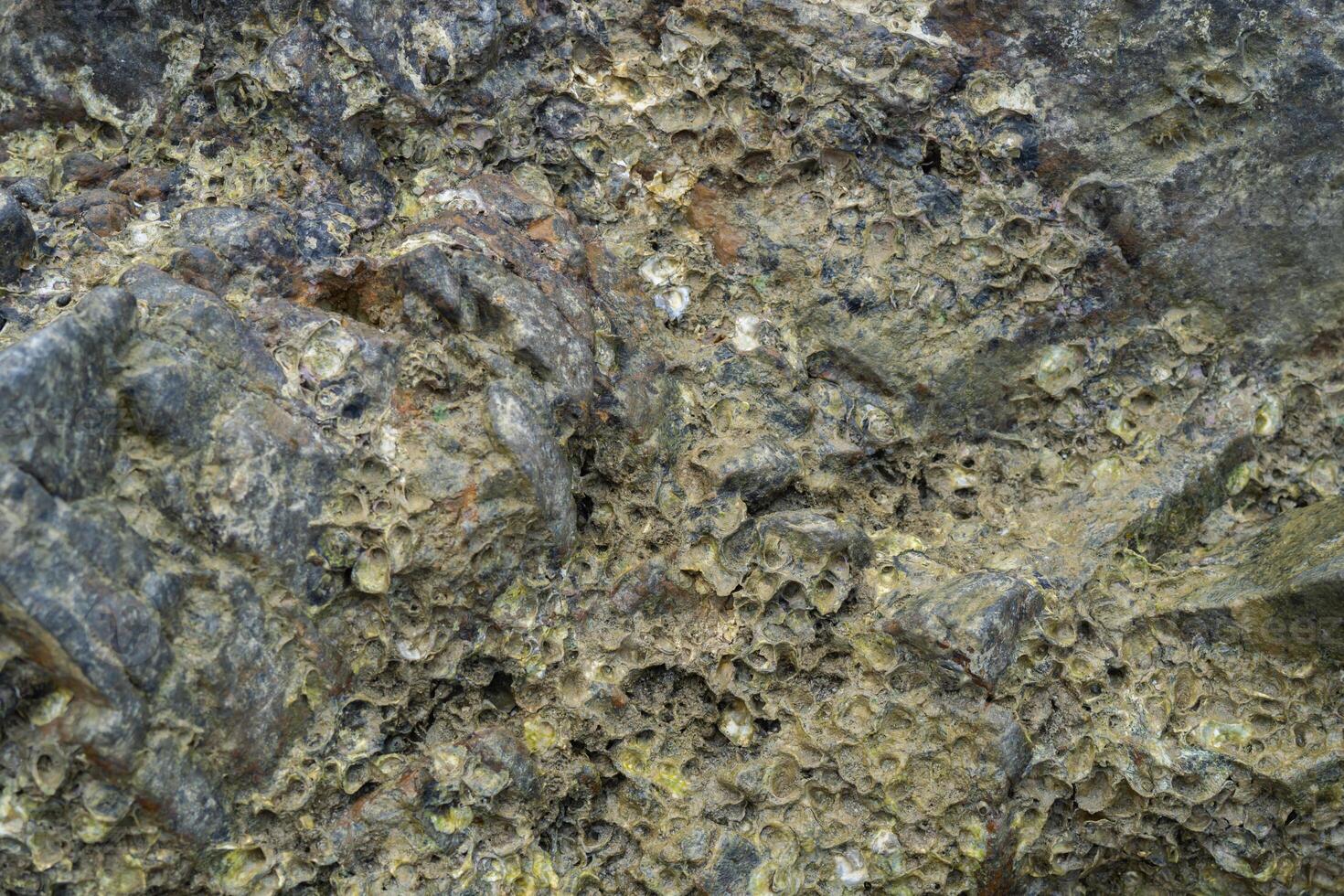 From above abstract textured surface of overgrown rocks on coastline covered photo