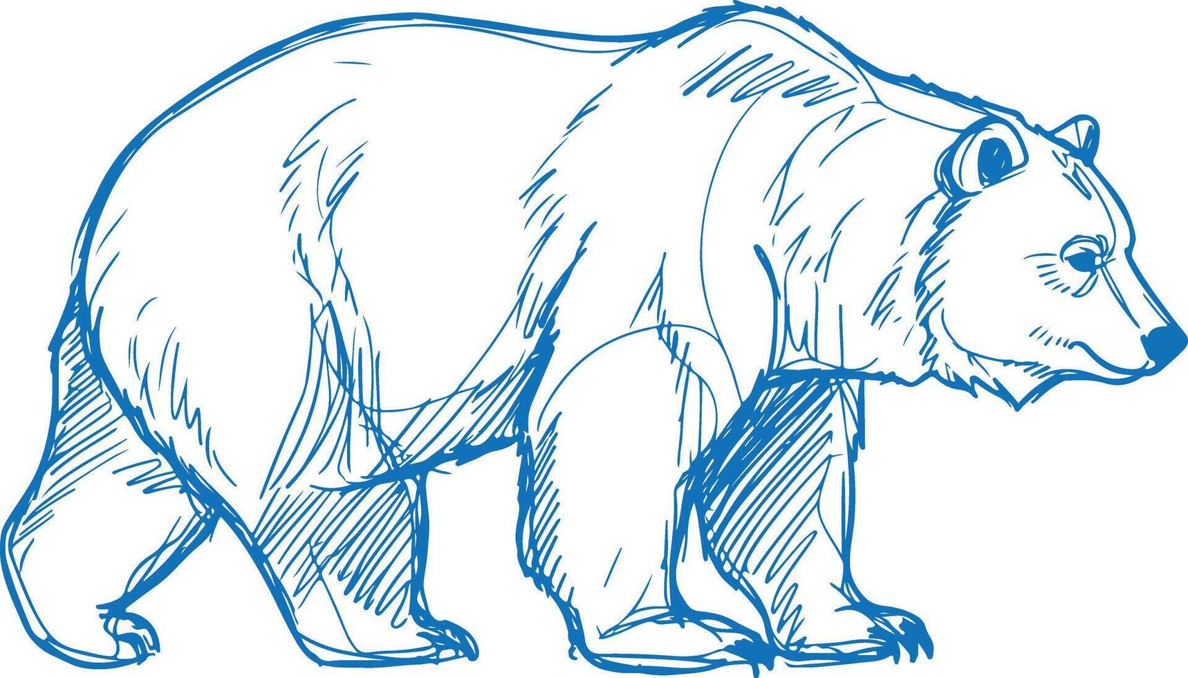 Hand-drawn sketch of a majestic grizzly bear walking in profile, vector