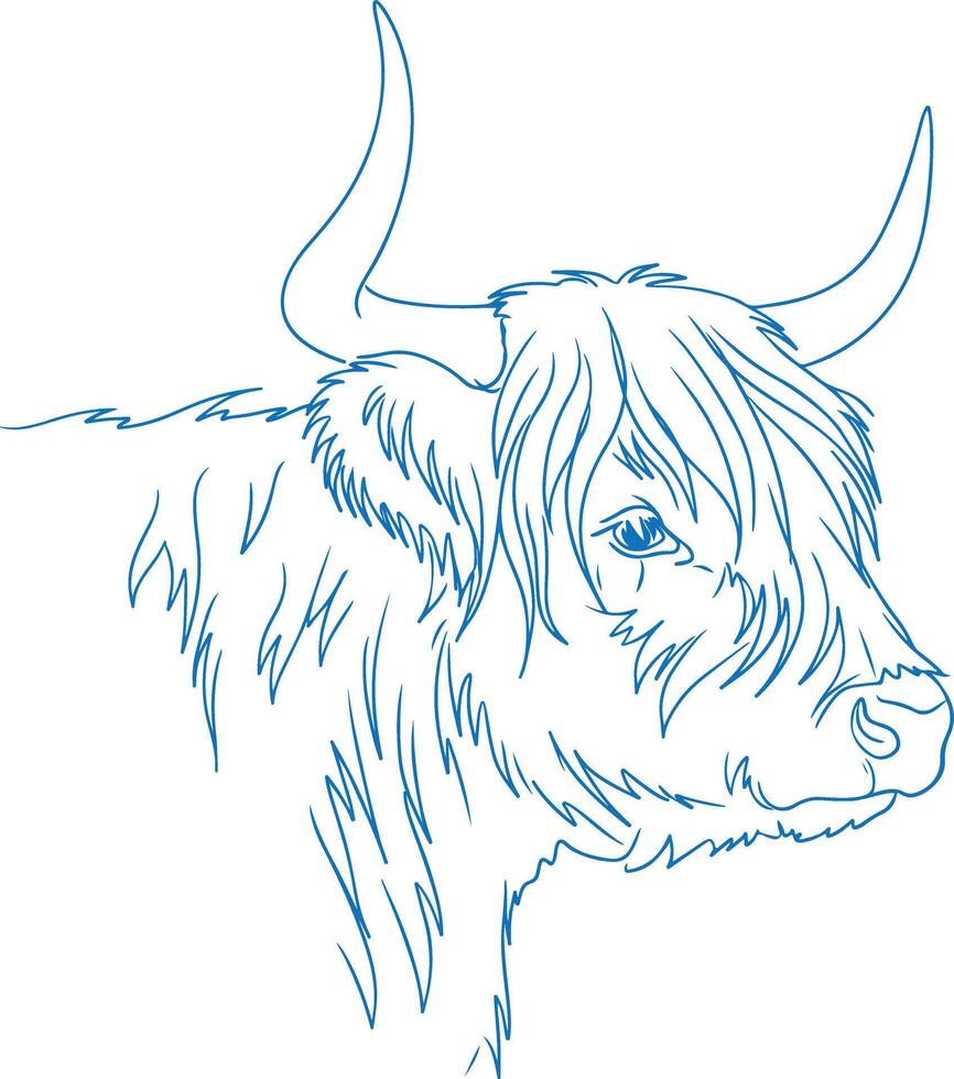 Stylized Highland cow head outline, sleek and modern single-line drawing vector
