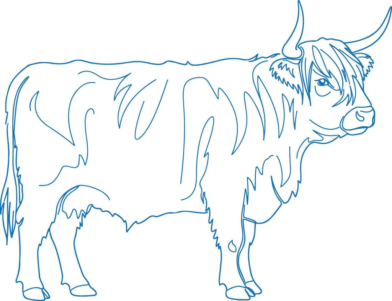 Sleek Highland cow contour illustration, simple and elegant line-art sketch vector