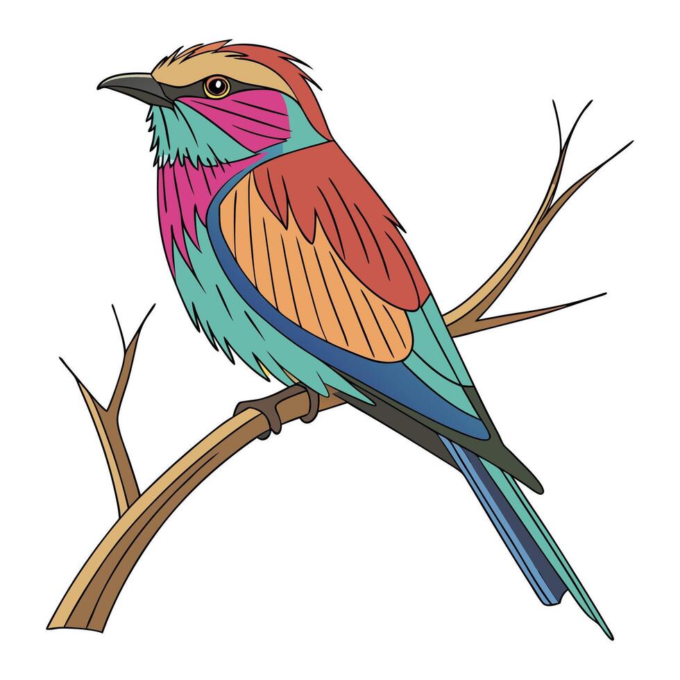 colorful bird on a branch illustration vector