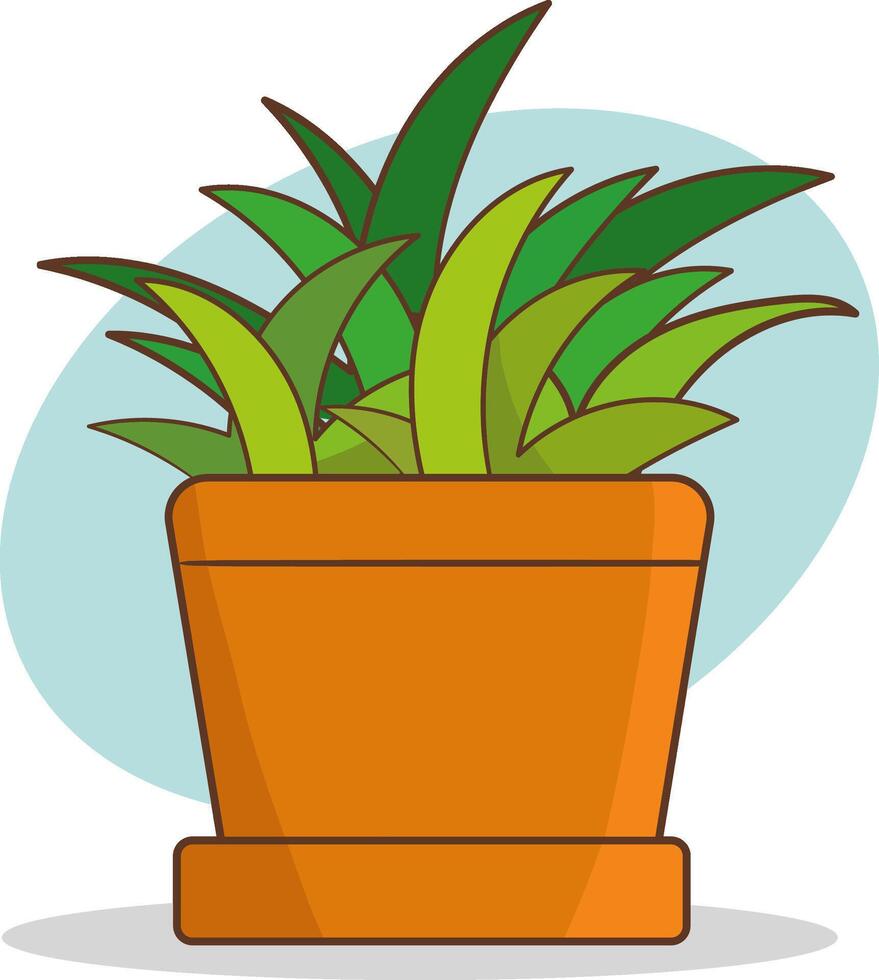 illustration of a houseplant in a pot on a white background vector