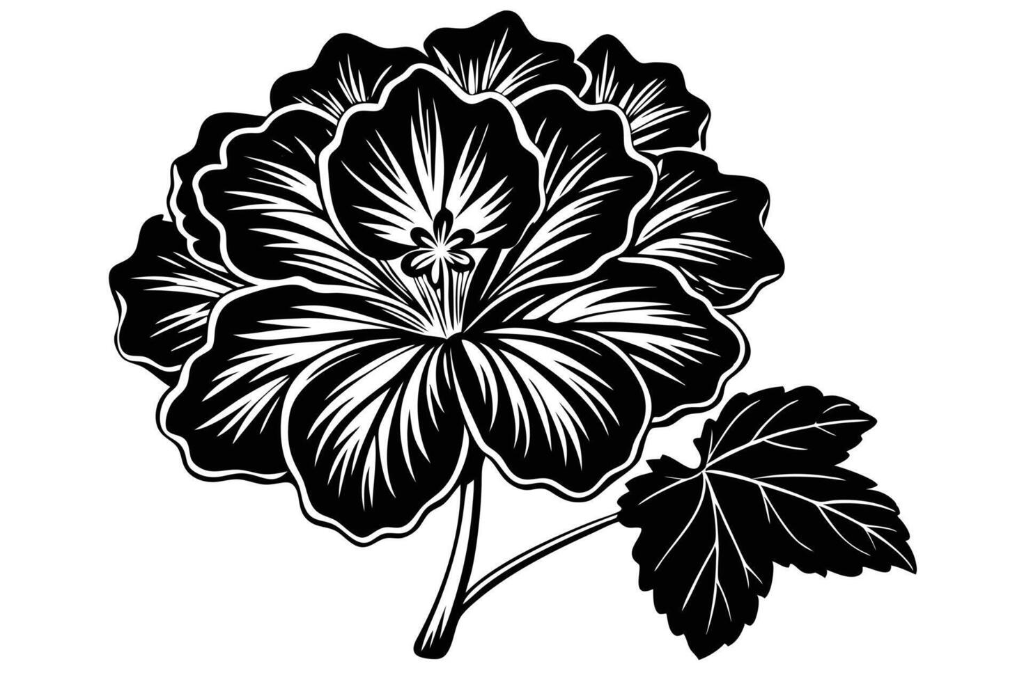 Ornate Black and White Hibiscus Flower Illustration vector
