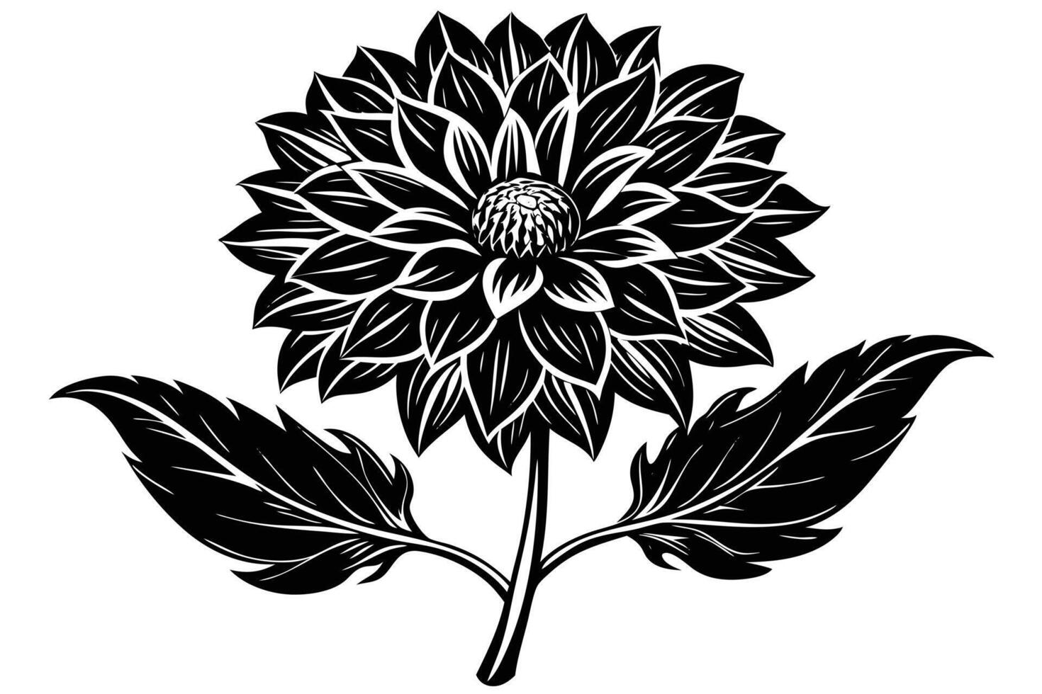 A Ornate Black and White Dahlia Illustration vector