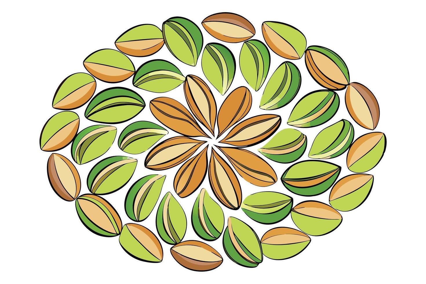 Colorful Pistachios Arranged in a Circular Design vector