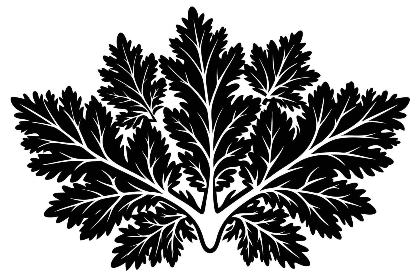 Ornate Black and White Silhouette of Detailed Leaves vector