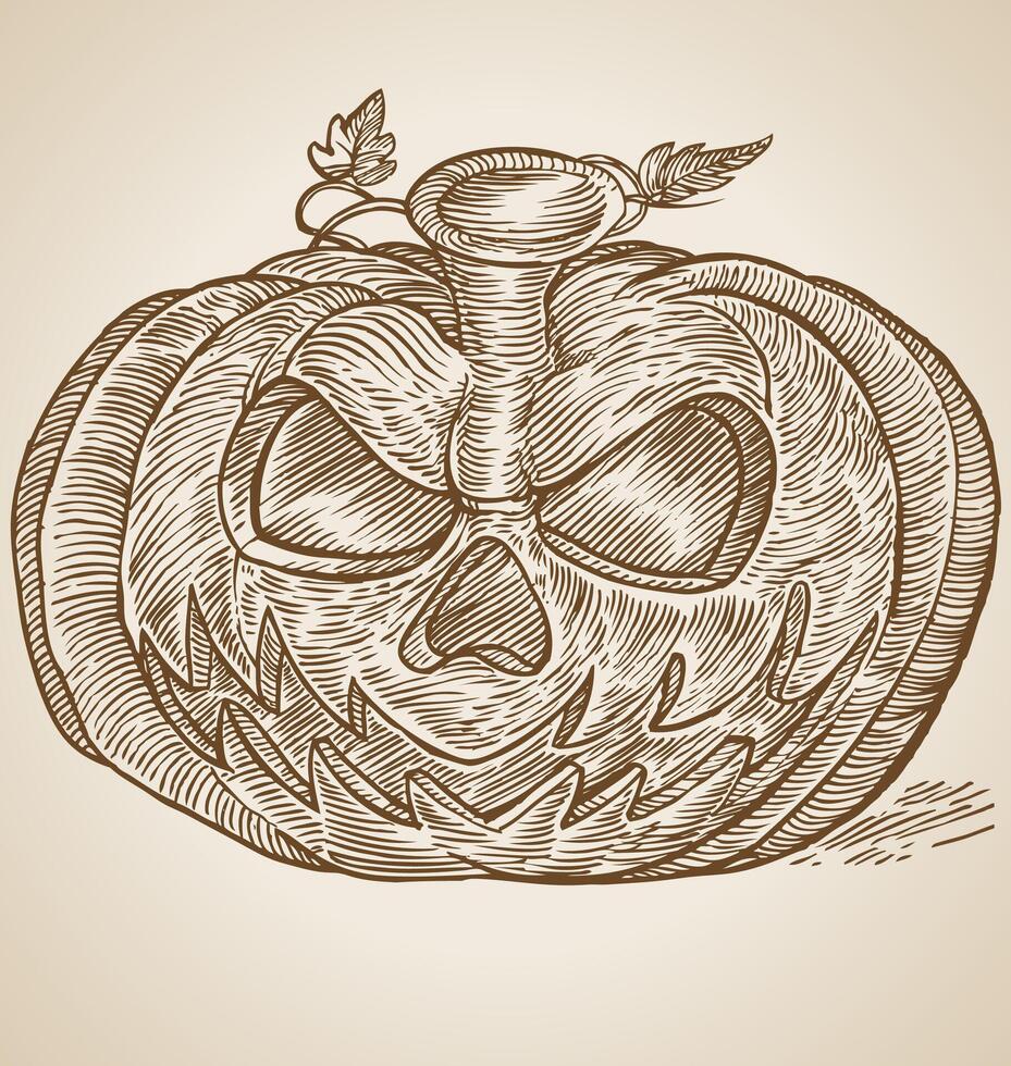 pumpkin head hand draw vector