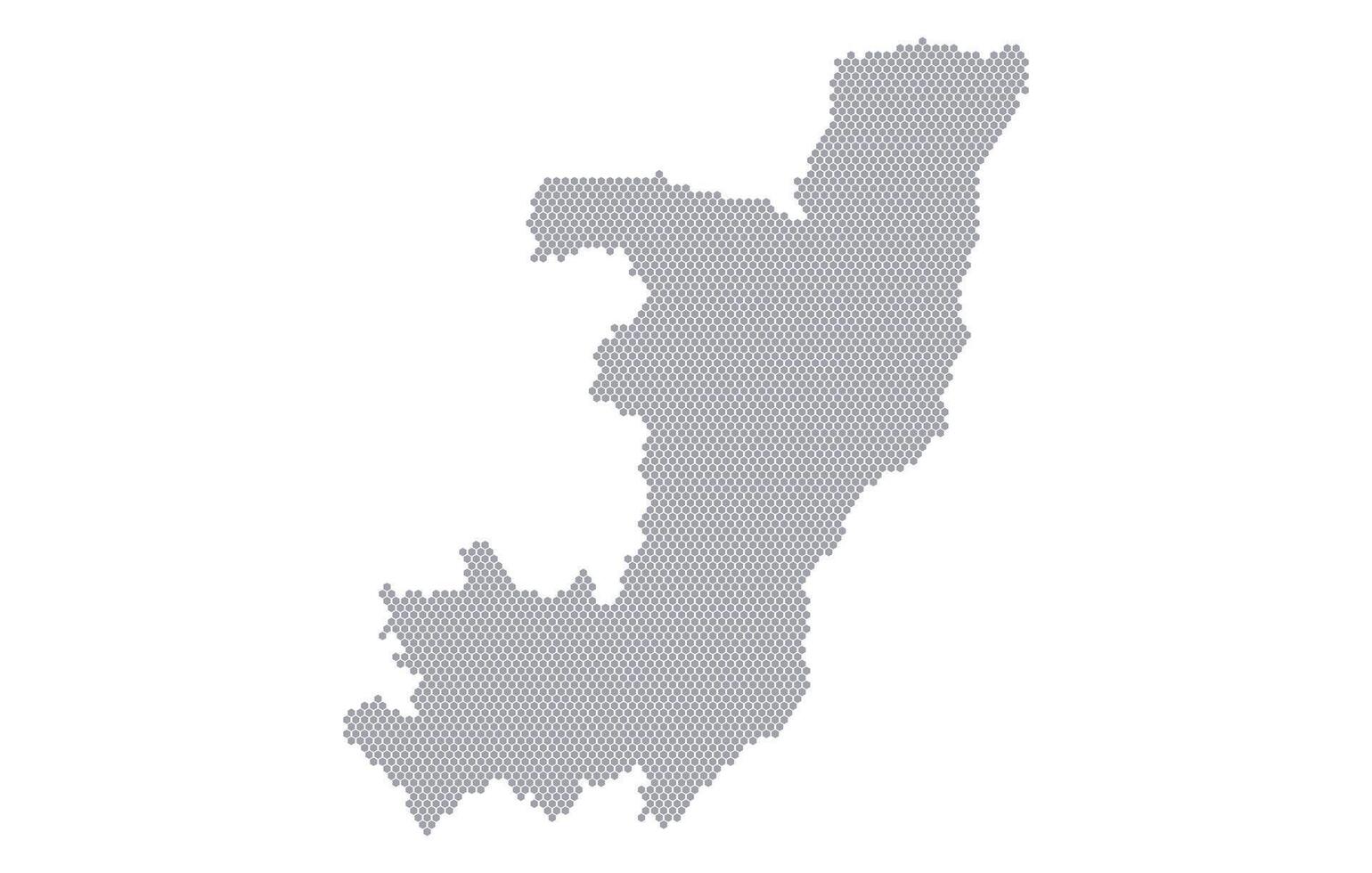 Stylized map of the Republic of the Congo made from honeycomb vector