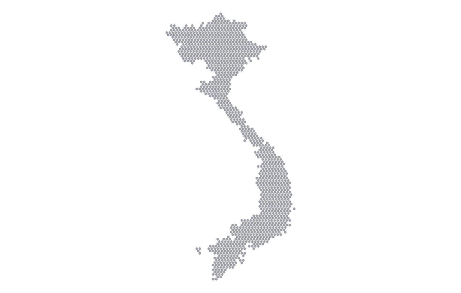 Stylized map of the Vietnam made from honeycomb vector