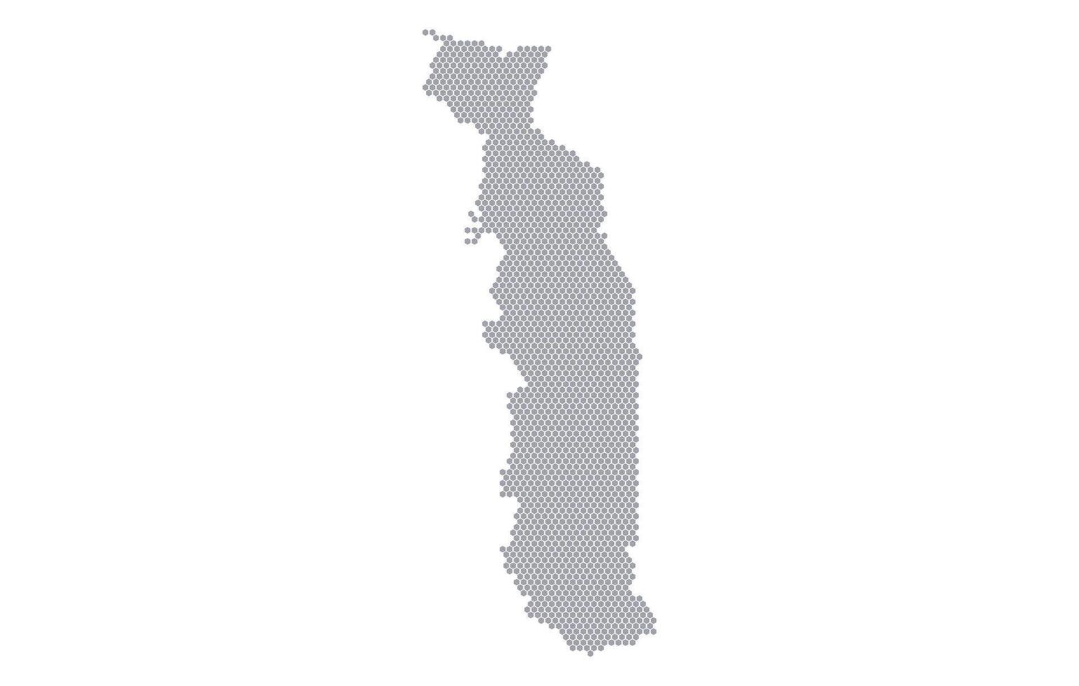 Stylized map of the Togo made from honeycomb vector