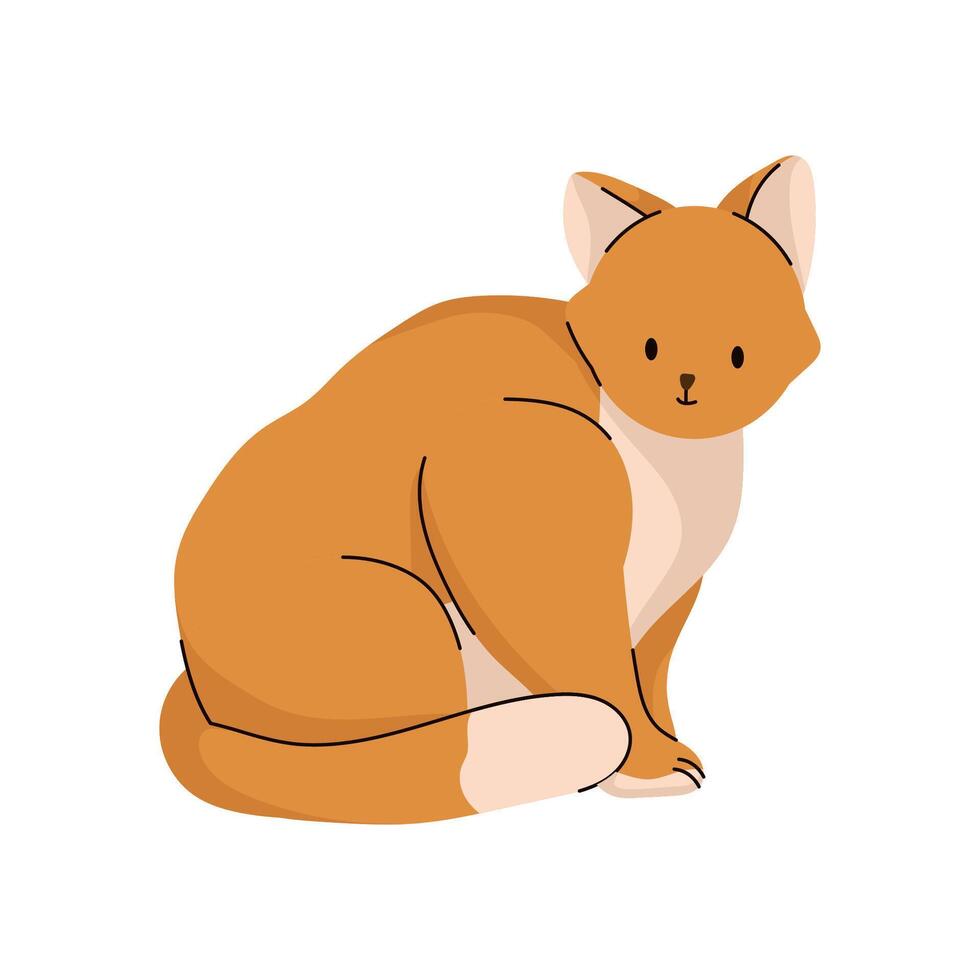 Orange Cat Flat vector