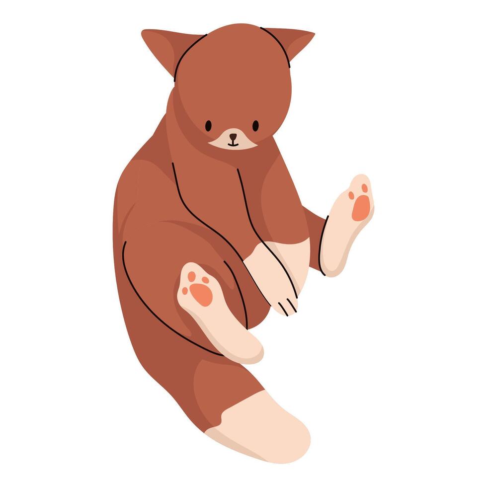 Brown Cute Cat vector