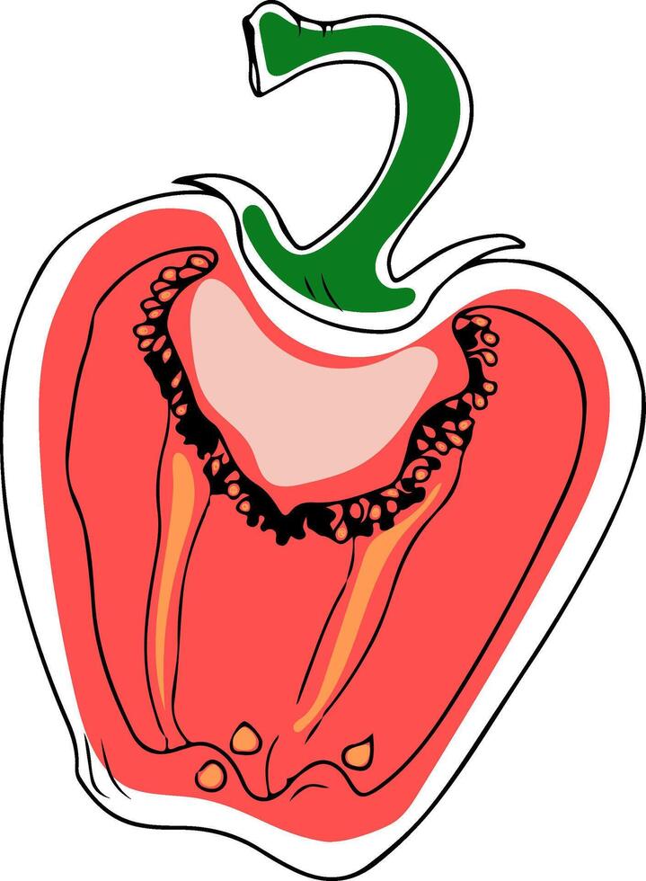 hand drawn doodle style halved red bell pepper isolated on white background vector
