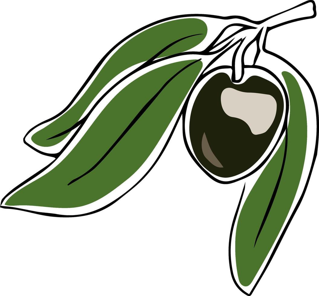 hand drawn doodle of single olive fruit with leaves isolated on white background vector