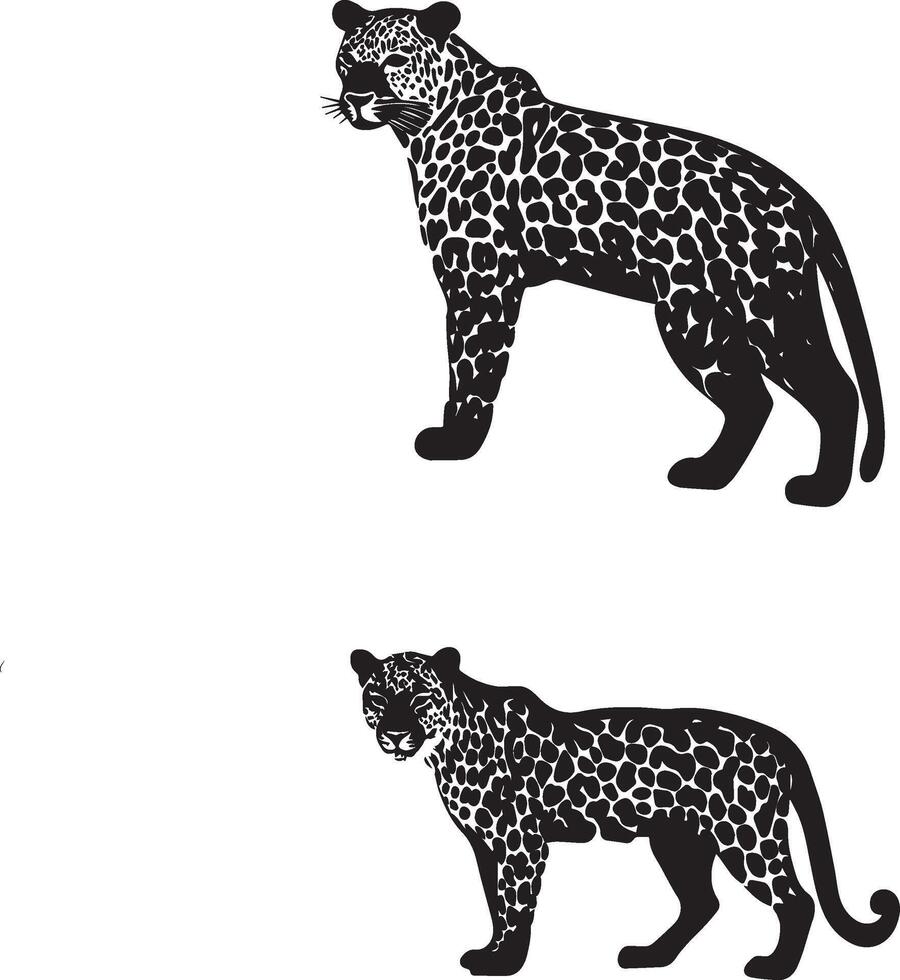 Leopard silhouette black and white background vector