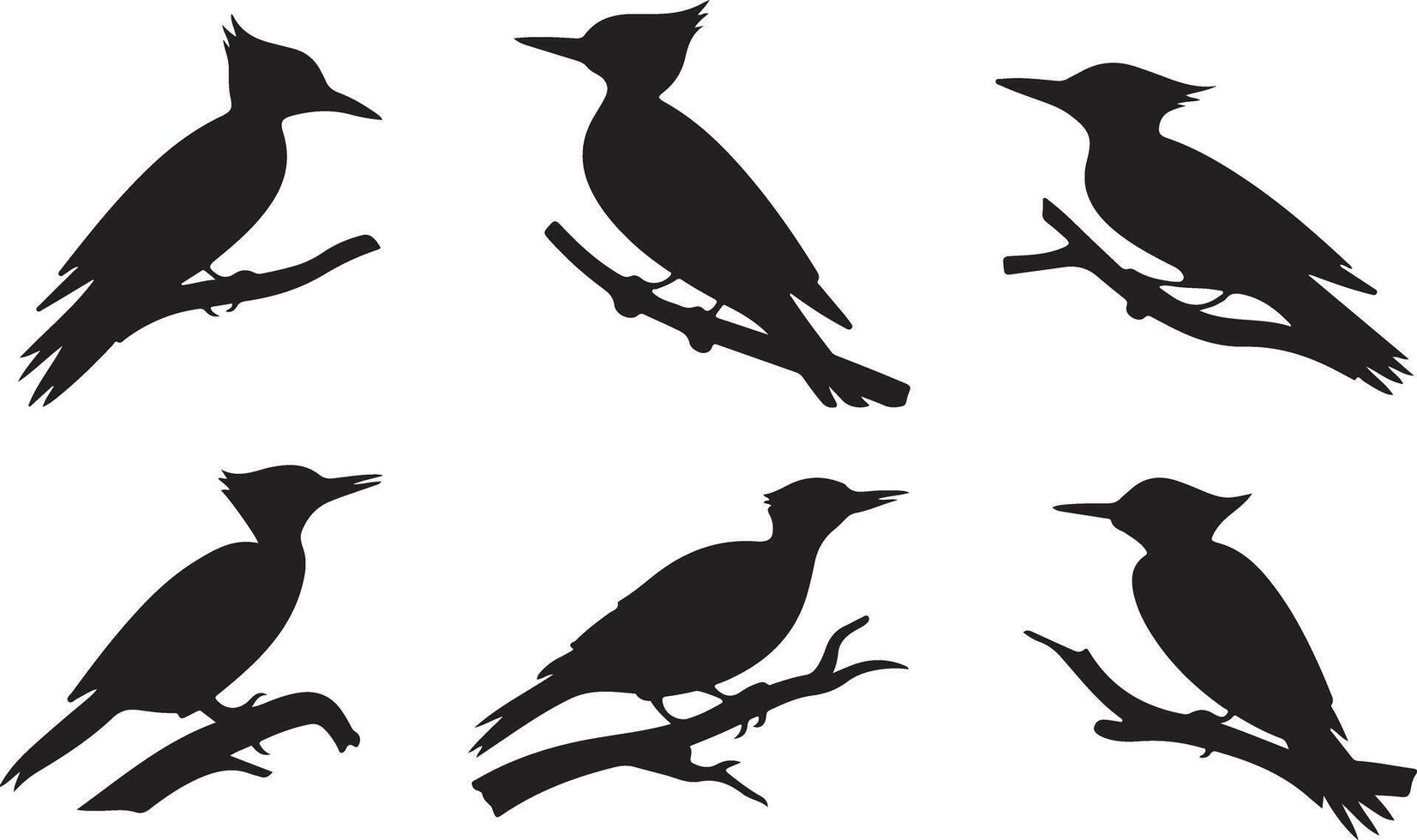 Collection of Woodpecker silhouettes vector