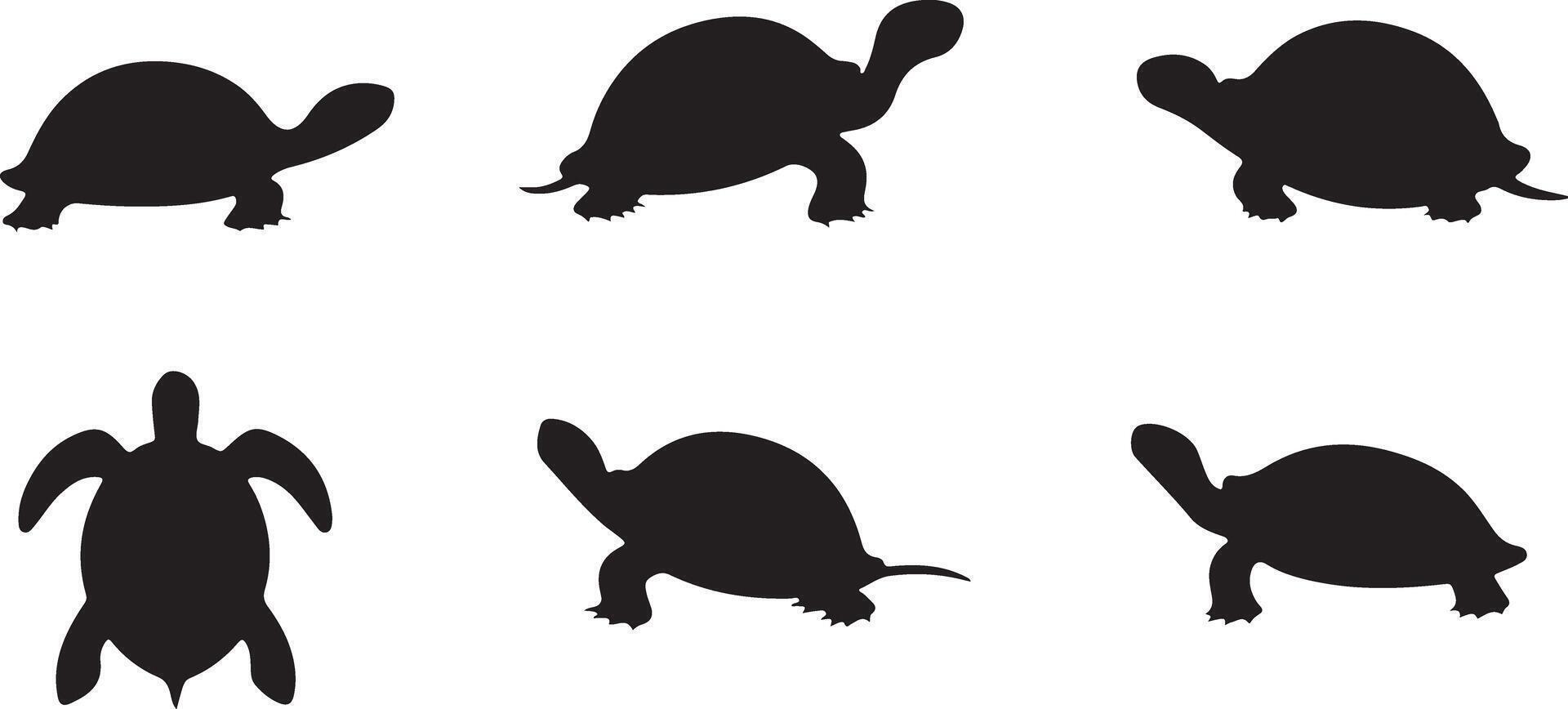 Black Turtle silhouettes vector