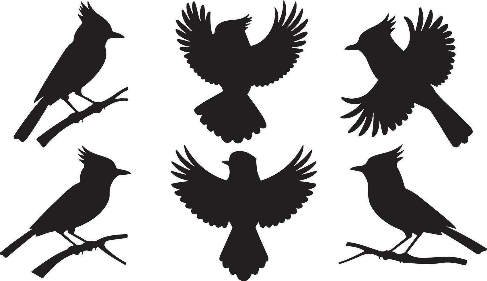 Black Sparrow silhouettes vector